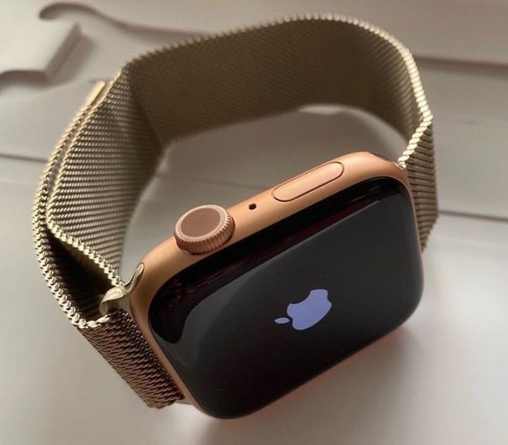 Series 9 Apple Logo Watch (with Magnetic Chain )